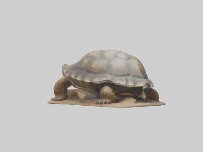 Giant Tortoise sitting model Low-poly 3D model