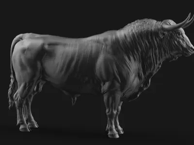 Bull - TPose - High Poly  3D model