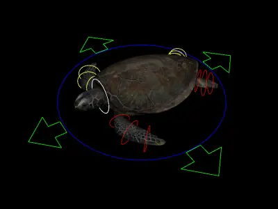 Turtle Rig Low-poly 3D model