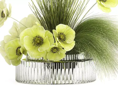 Bouquet Of Green Flowers Poppy And Grass In Glass 603 3D model