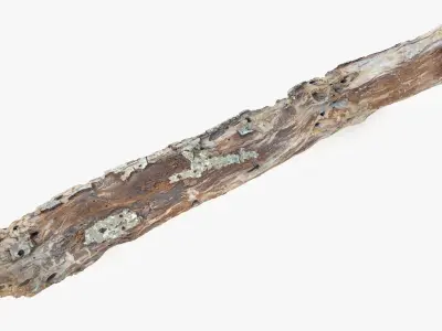 Withered Tree Hide Low-poly 3D model