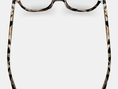 Correct Eyeglasses in Ecru Tortoise 3D model