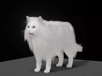 White House Cat Low-poly 3D model
