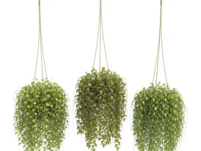 Plants collection 30 3D model