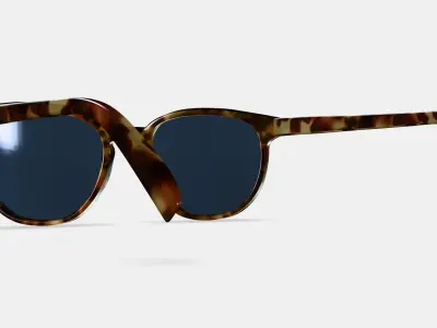 Sydney Sunglasses in Brioche Tortoise 3D model