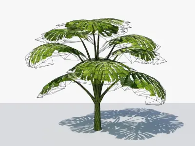 Monstera Tropical Plant Low-poly 3D model