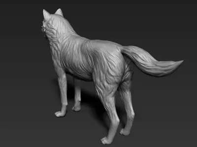 Wolf Sculpt 3D model