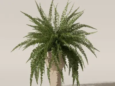 Fern in modern flower pot 3D model