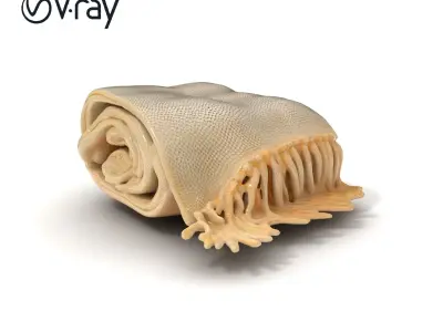 Cozy Textured Blanket Model Pack Low-poly 3D model