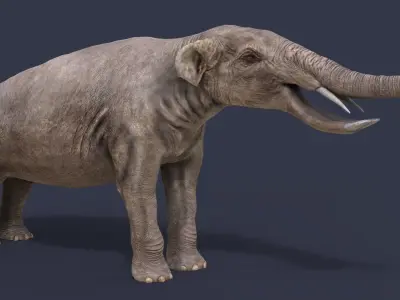 Platybelodon elephant Low-poly 3D model