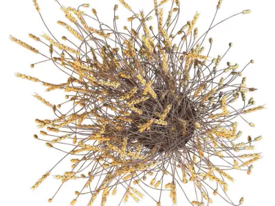 Decorative bouquet of ears of wheat 3D model