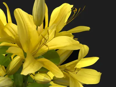 Yellow Lily Vase general decor for interior architecture design 3D model