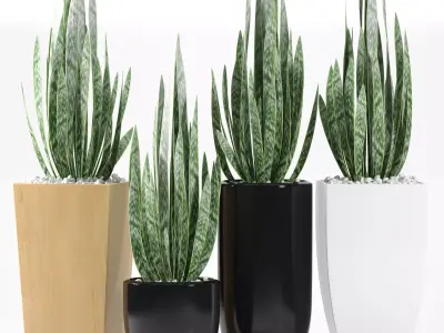 Plants 103 3D model