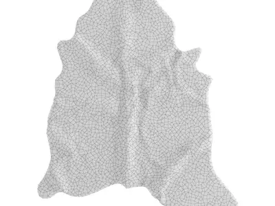 Animal skin rug 07 3D model