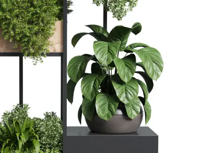 stand plant box collection Indoor plant  wooden and metal vase 3D model
