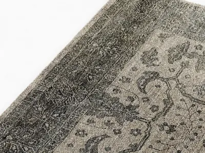 Restoration Hardware Hana rug 3D model
