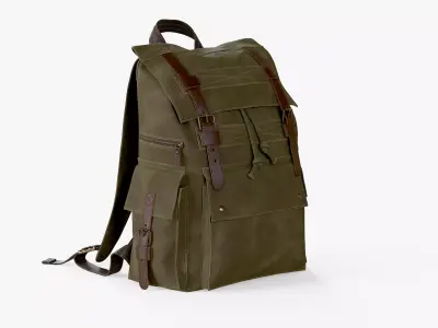 Backpack Iceland Green Low-poly 3D model