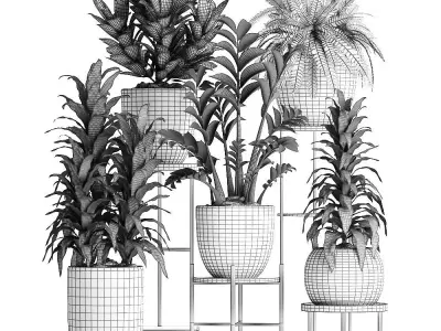 Collection Exotic plants 362 3D model