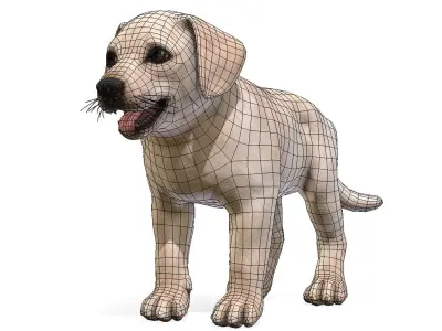 Puppy - Labrador Low-poly 3D model