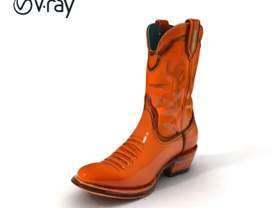 Western Cowboy Boot D Model Pack Low-poly 3D model