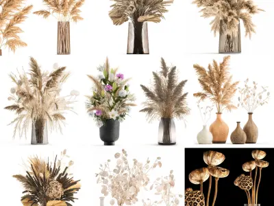Collection of bouquets of dried flowers 30 pieces  3D model