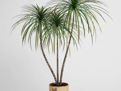 CGAXIS plants collection volume 1 3D model