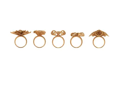 Notka rings  desgine 5 desgines 3D print model