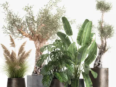 Ornamental plants for landscape design 1060 3D model