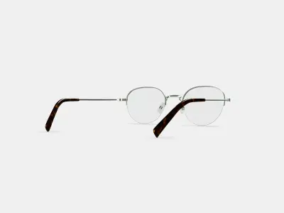 Canning Eyeglasses in Polished Silver 3D model
