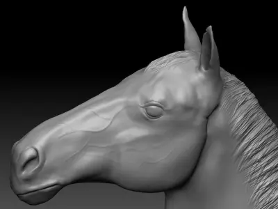 Horse detailed zbrush sculpture 3D model