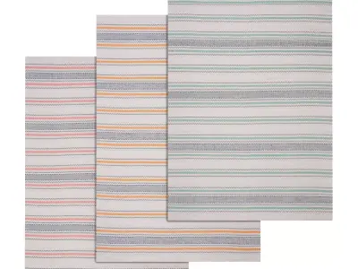 Rug Set 232 3D model