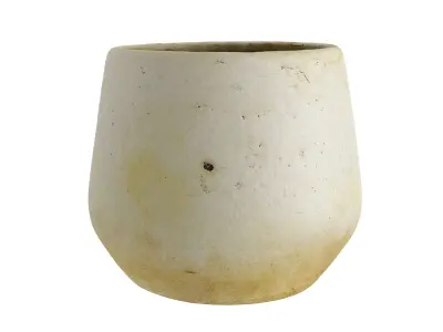 Flower Pot Decor - Photogrammetry 3D model