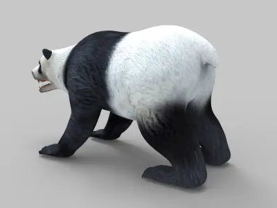 White Rigged 3D Models low poly model Low-poly 3D model