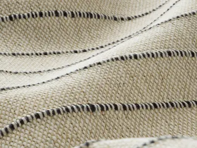 Cotton fabric 04 Texture