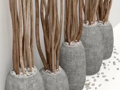 Branch dry vase barrel 3D model