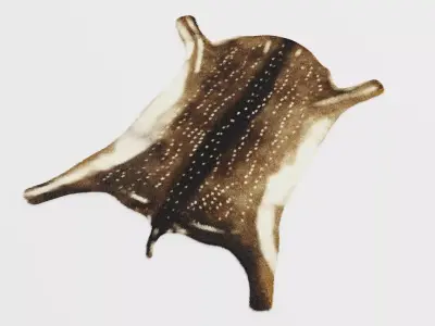 Deer Skin Rug - Realistic Animal Hide 3D model