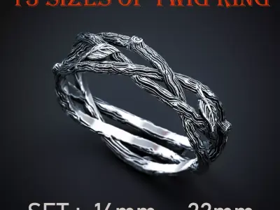 SET OF 13 SIZES RING TWIG Printable Model 3D print model