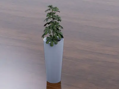Schefflera Low-poly 3D model