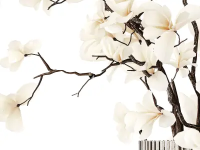 White bouquet of branches of blooming magnolia vase 345 3D model