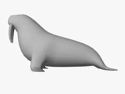 Low Poly Walrus Low-poly 3D model