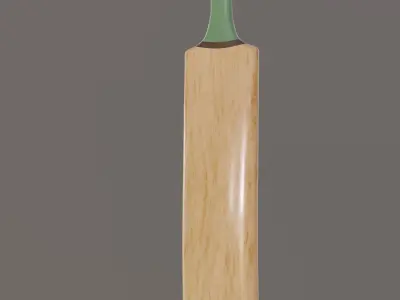 Cricket Bat 3D model