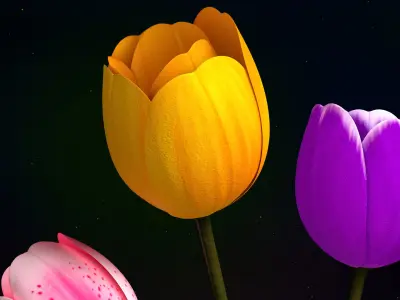 Tulips Flowers Animated 3D model