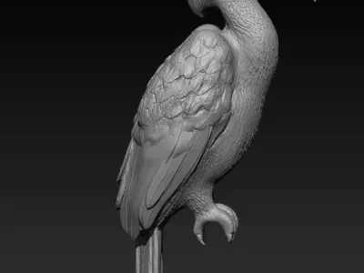 Hornbill 3D print model