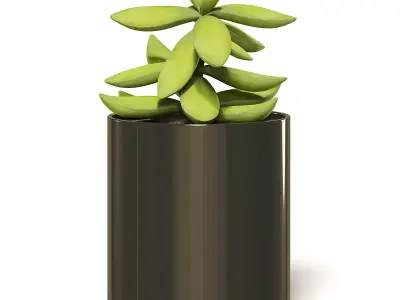 Plant 3D Model in Metal Pot 3D model purchase