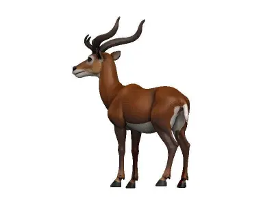 Okapi Low-poly 3D model