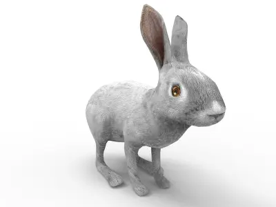 3D Rabbit low poly mode Low-poly 3D model