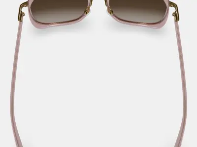 Fernanda Sunglasses in Antique Rose with Polished Gold 3D model