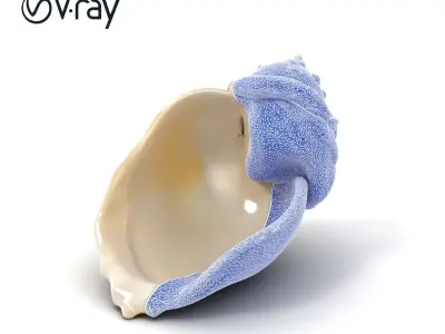 Luminous Seashell Sculpture model pack Low-poly 3D model