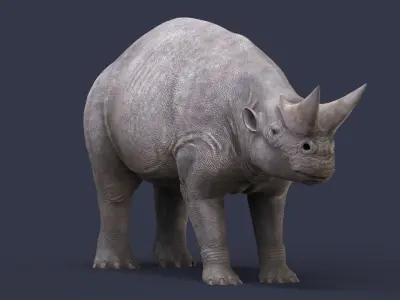 Arsinoitherium zitteli 3D model