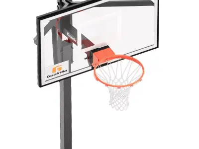 basketball hoops goalrilla with wilson ball 3D model